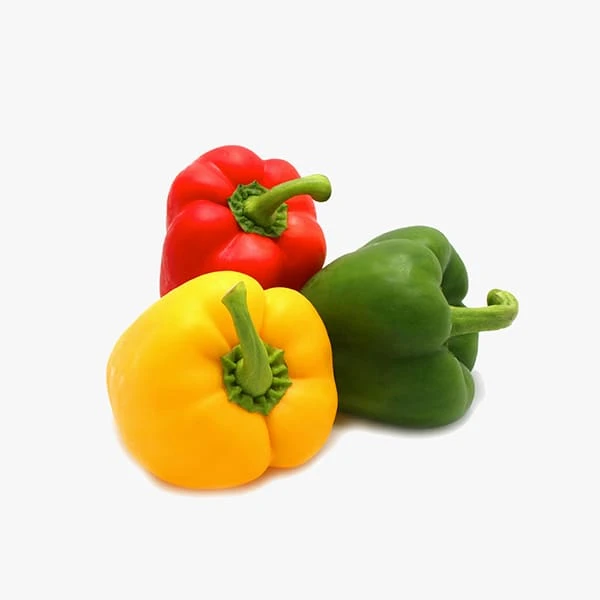 Capsicum